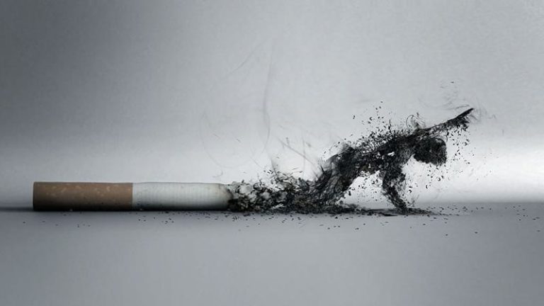Можно ли использовать жевательный табак для отказа от курения Можно ли использовать жевательный табак для отказа от курения